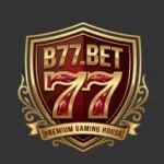 B77 game